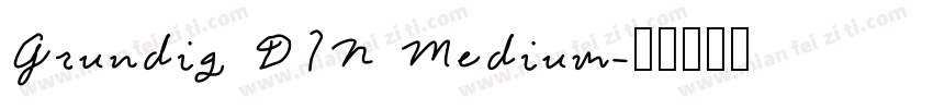 Grundig DIN Medium字体转换